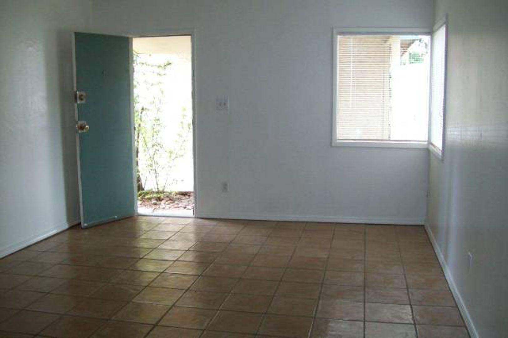✨ 1 Bed 1 Bath in Tempe – photo 2