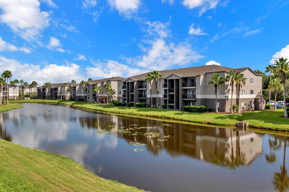 Valencia at Westchase – photo 4