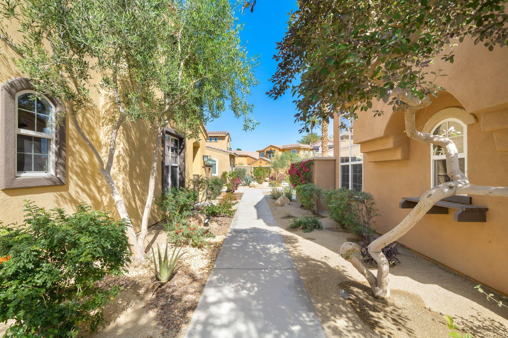 52230 Desert Spoon Court – photo 3