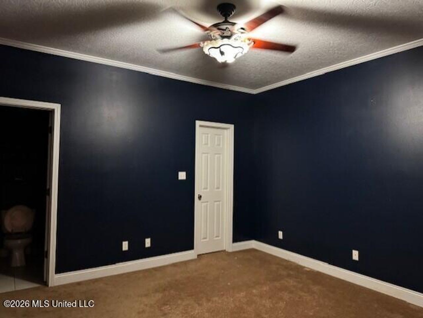 Large Updated Home – photo 5