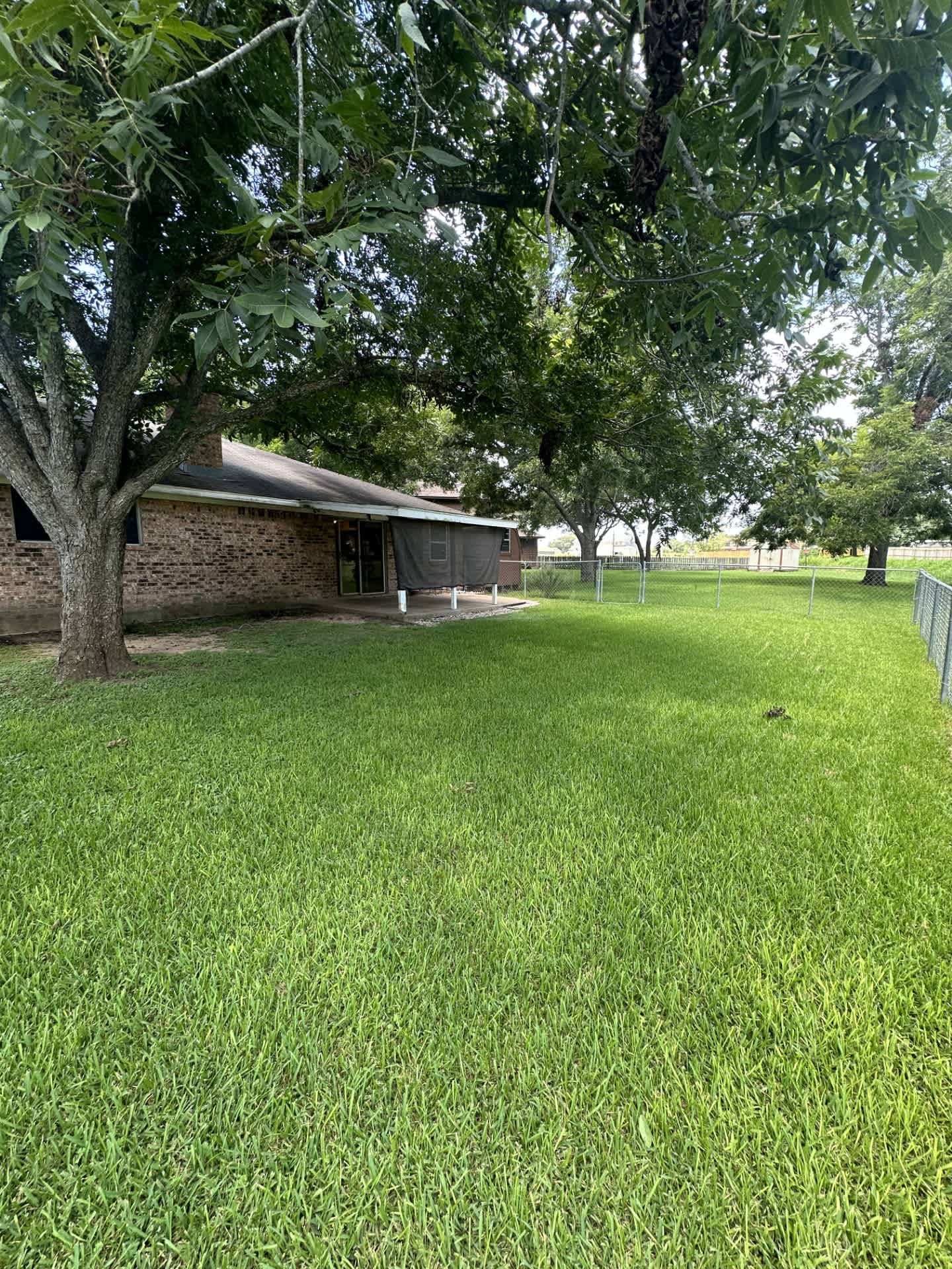 1003 Allison – photo 2