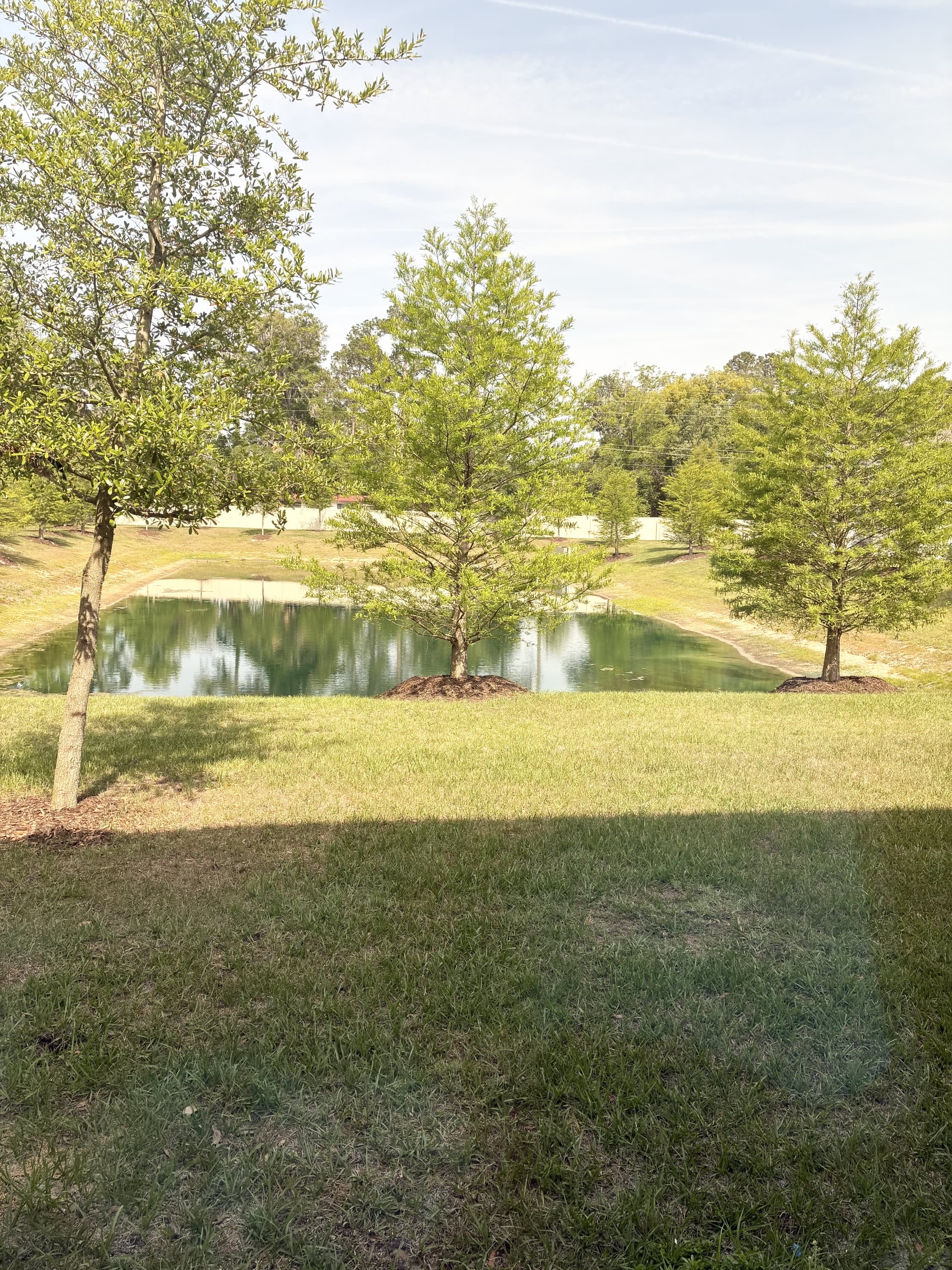 5983 Ortega Lake Drive – photo 4
