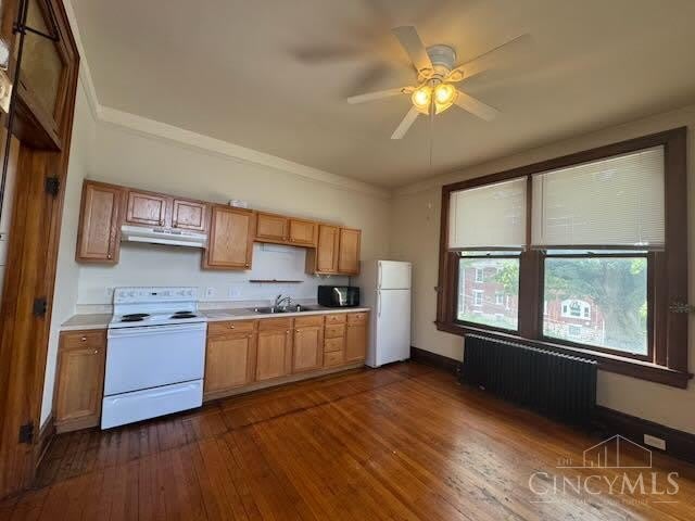 230 Rockdale Avenue – photo 3