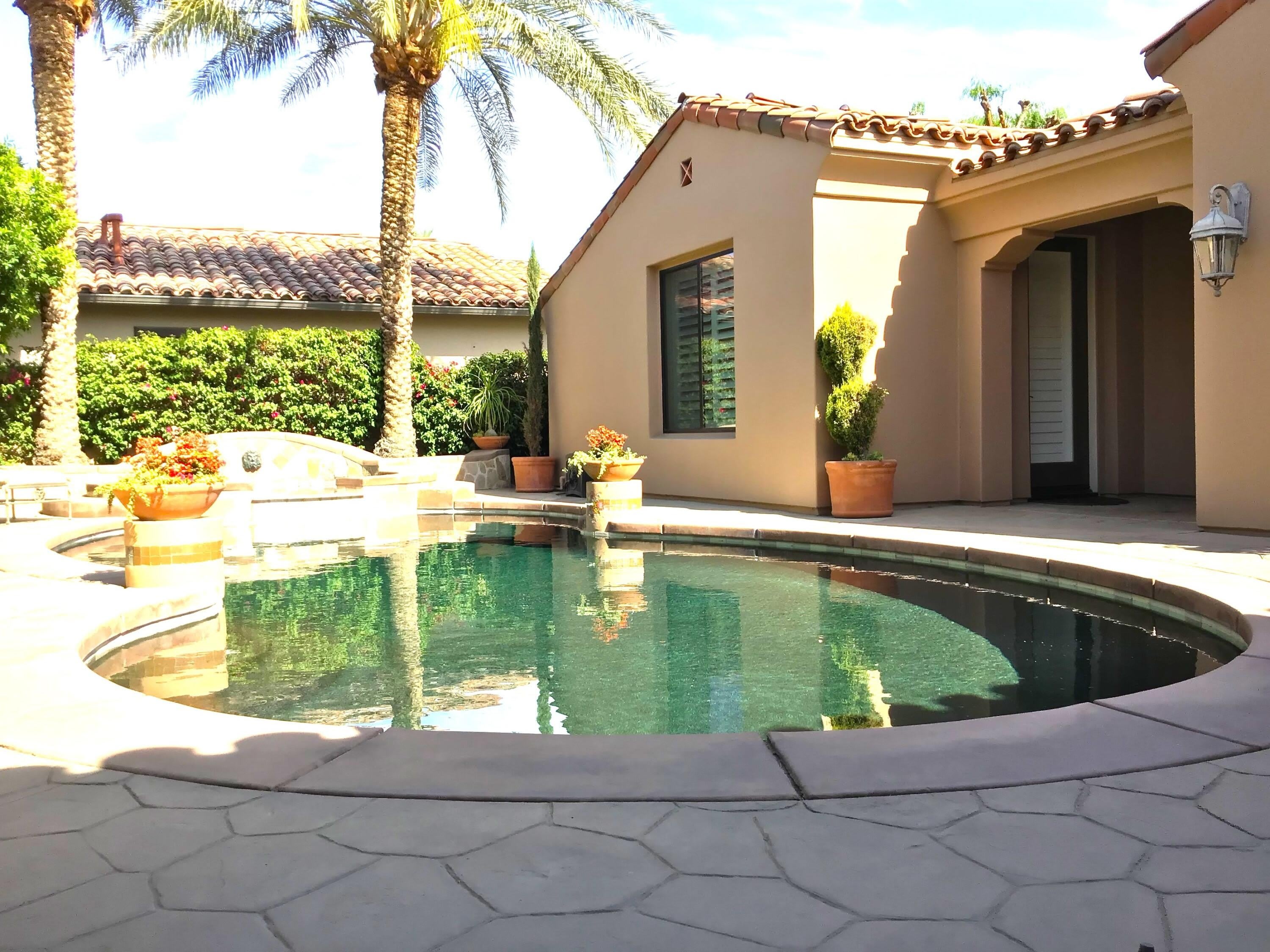78870 Citrus – photo 3