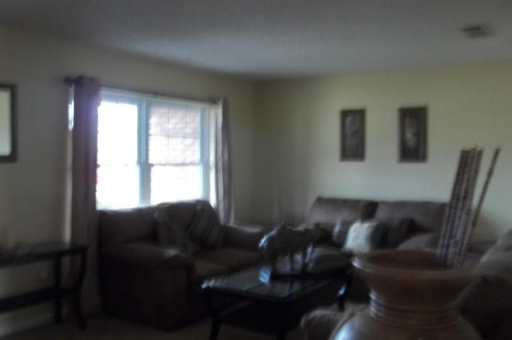 1605 Plough – photo 2