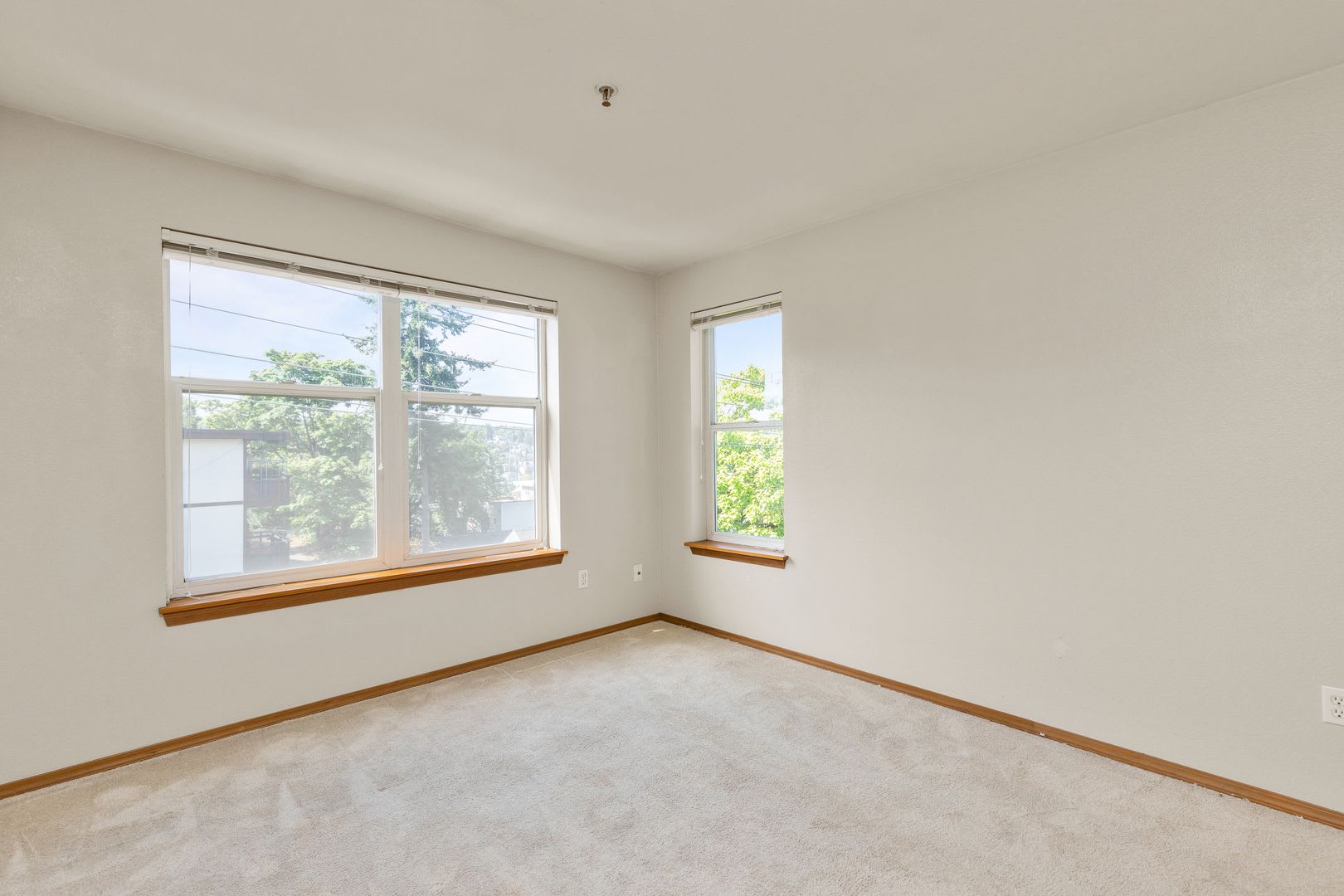Quaint 2 bdrm/ 1 bth condo in Seattle – photo 3