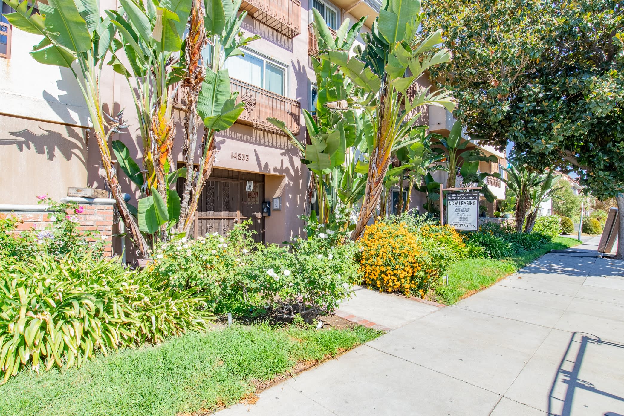 Magnolia Woods Apartments – photo 2