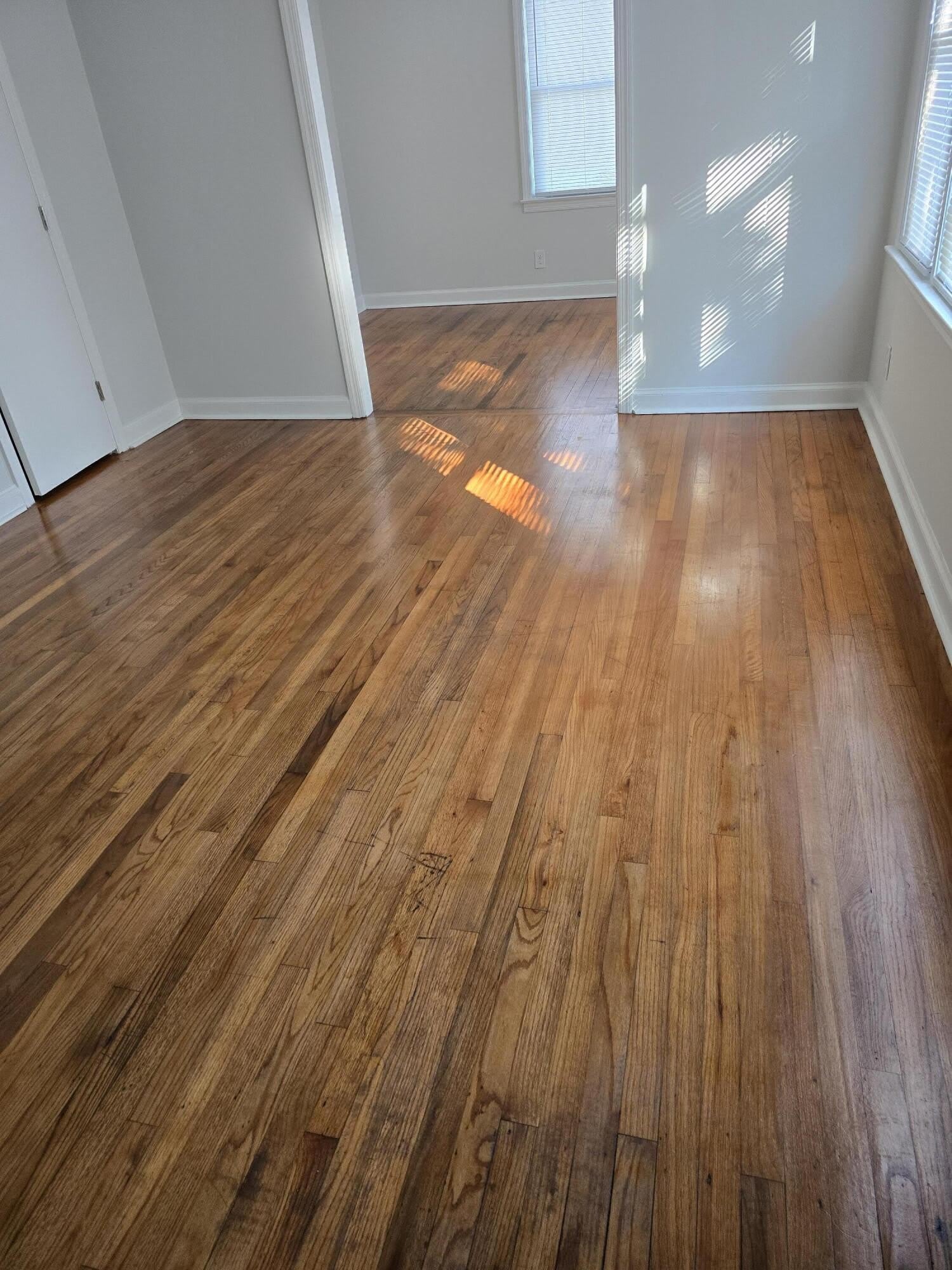 300 Mary Scott Drive – photo 5