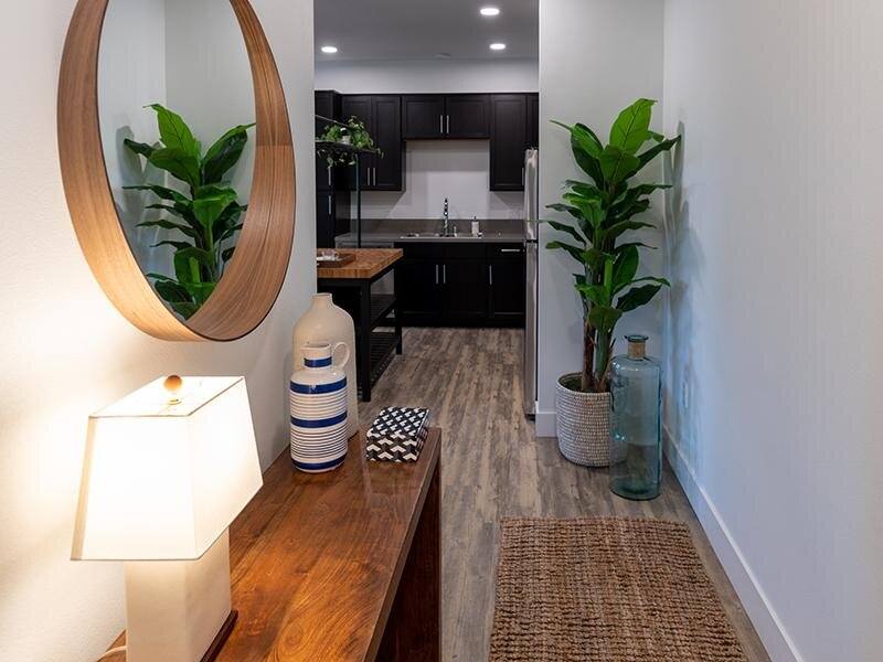 Vela Apartments – photo 3