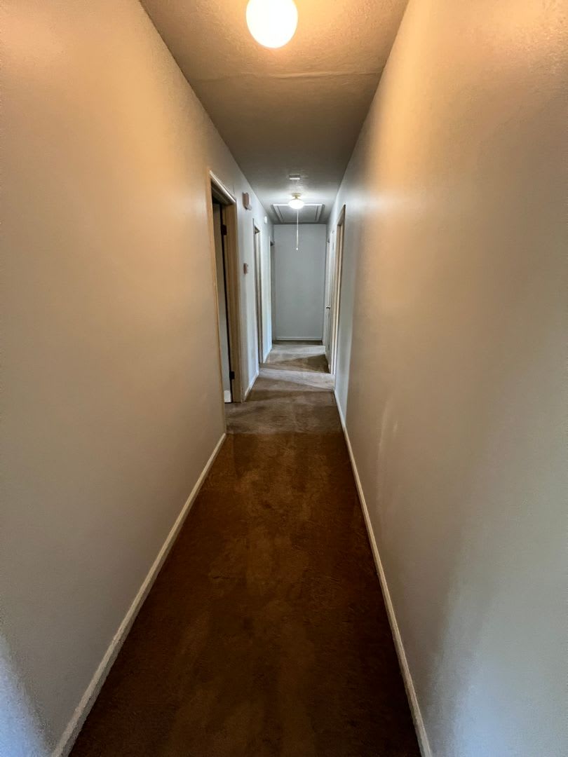 3BD/ 2BA W Fredericks Street – photo 5