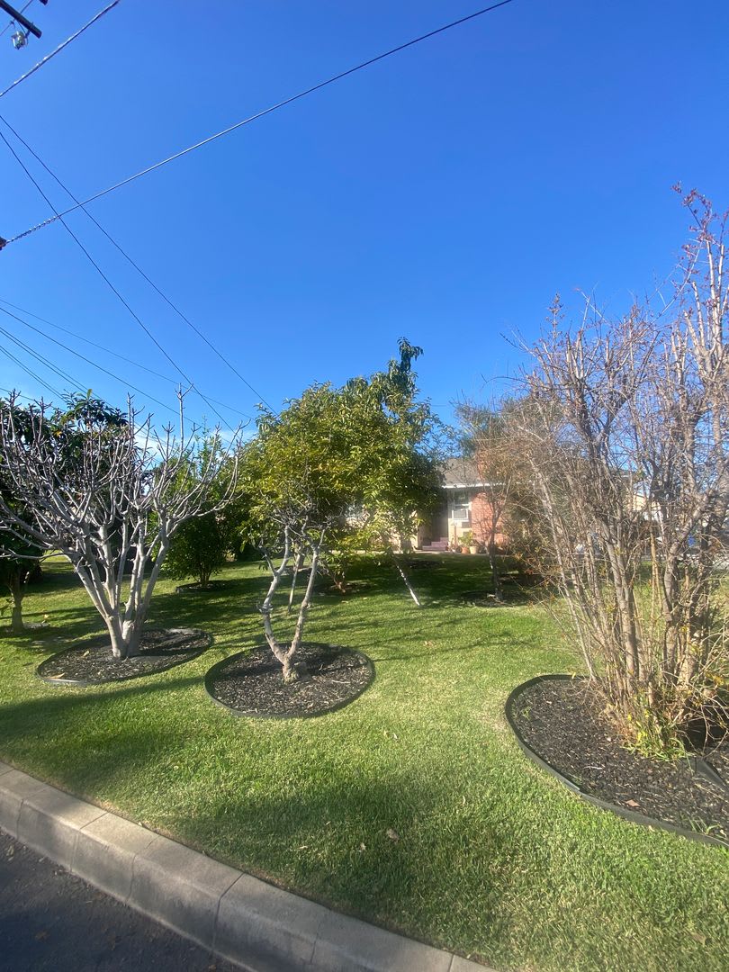 409 E Puente – photo 3