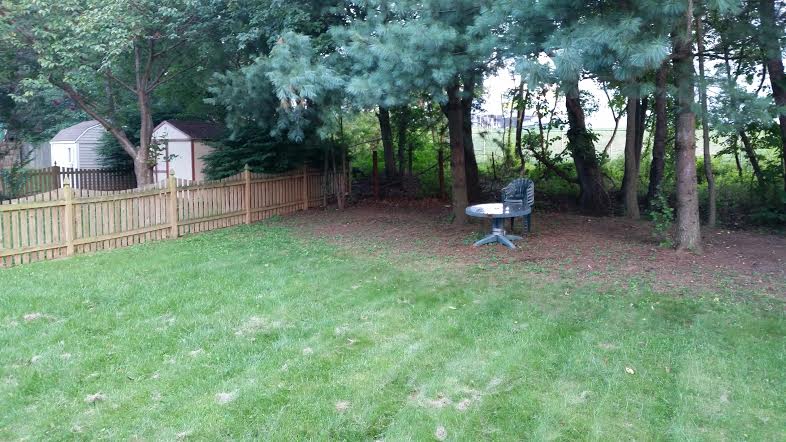 19419 Kildonan Dr – photo 2