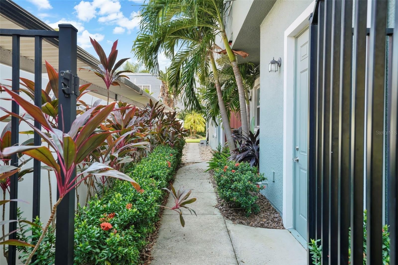 214 S HABANA Avenue – photo 3