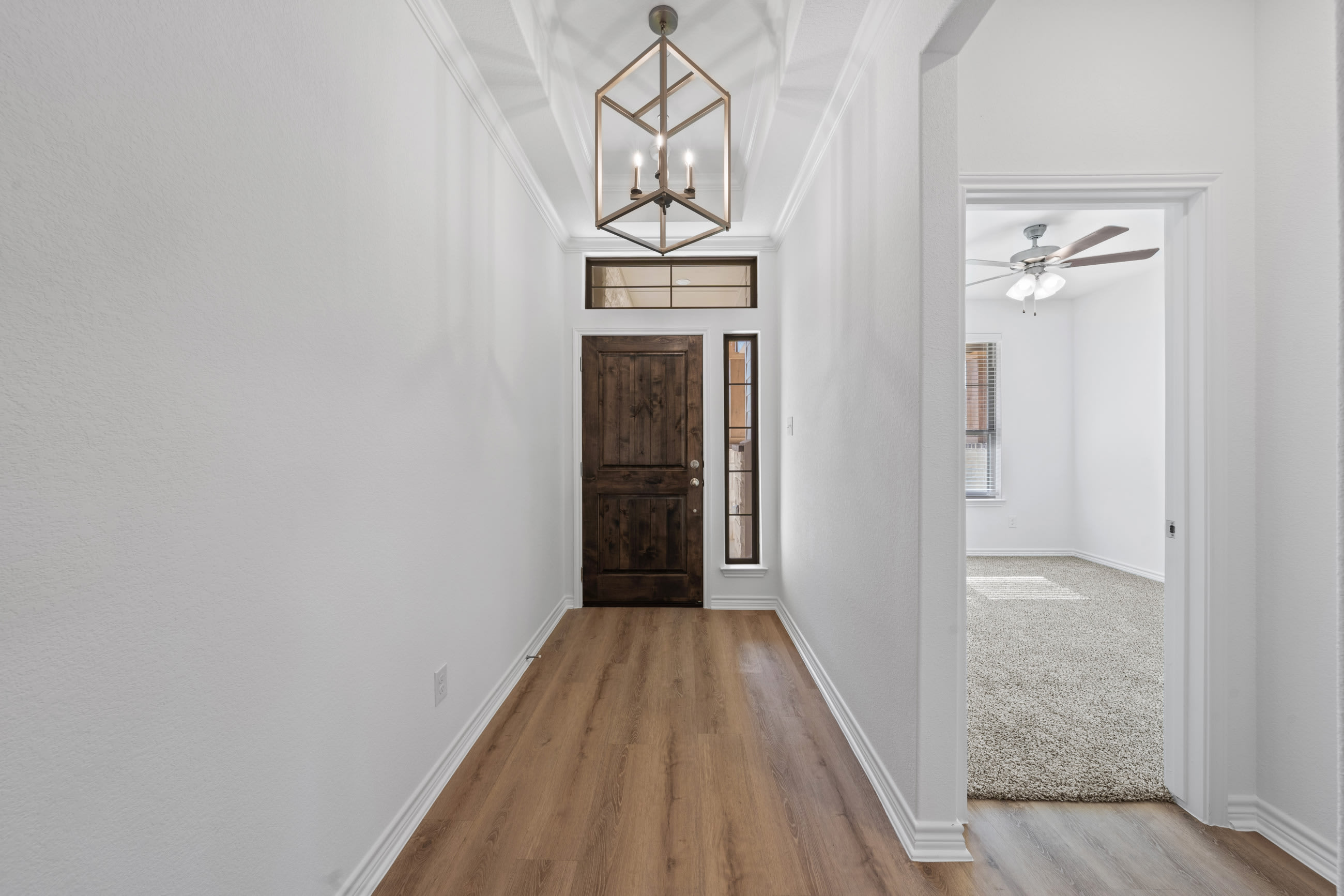 7310 Caladium Drive – photo 3