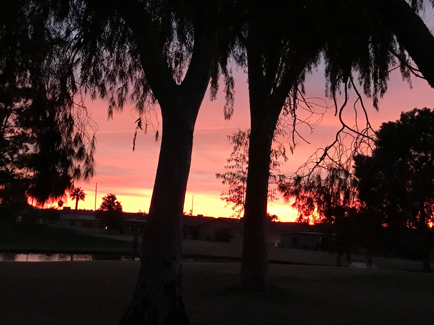 45 Active Adult Resort Community Updated Golf Course Property Now Through July Then September Through December 2026 – photo 5
