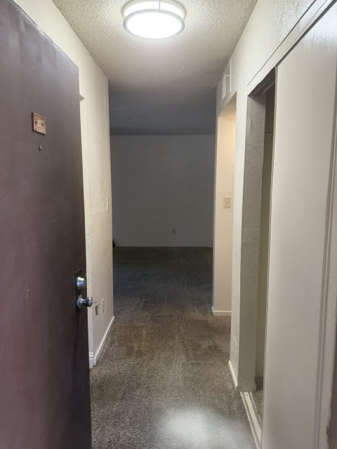 4332 Pacific Ave #37 – photo 3