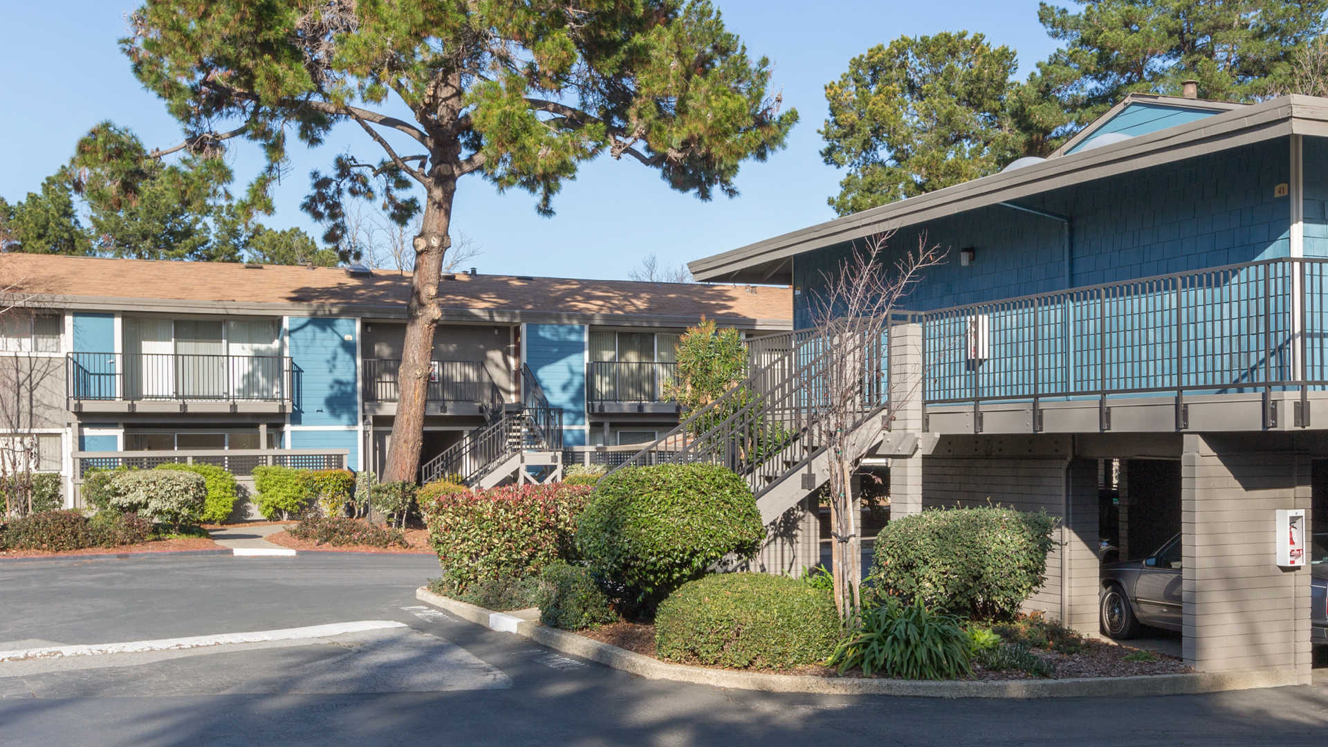 Reserve at Mountain View – photo 5