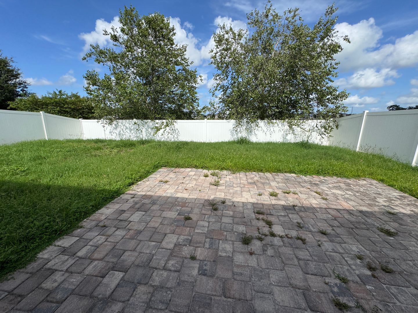 2980 Scarlett Drive – photo 4