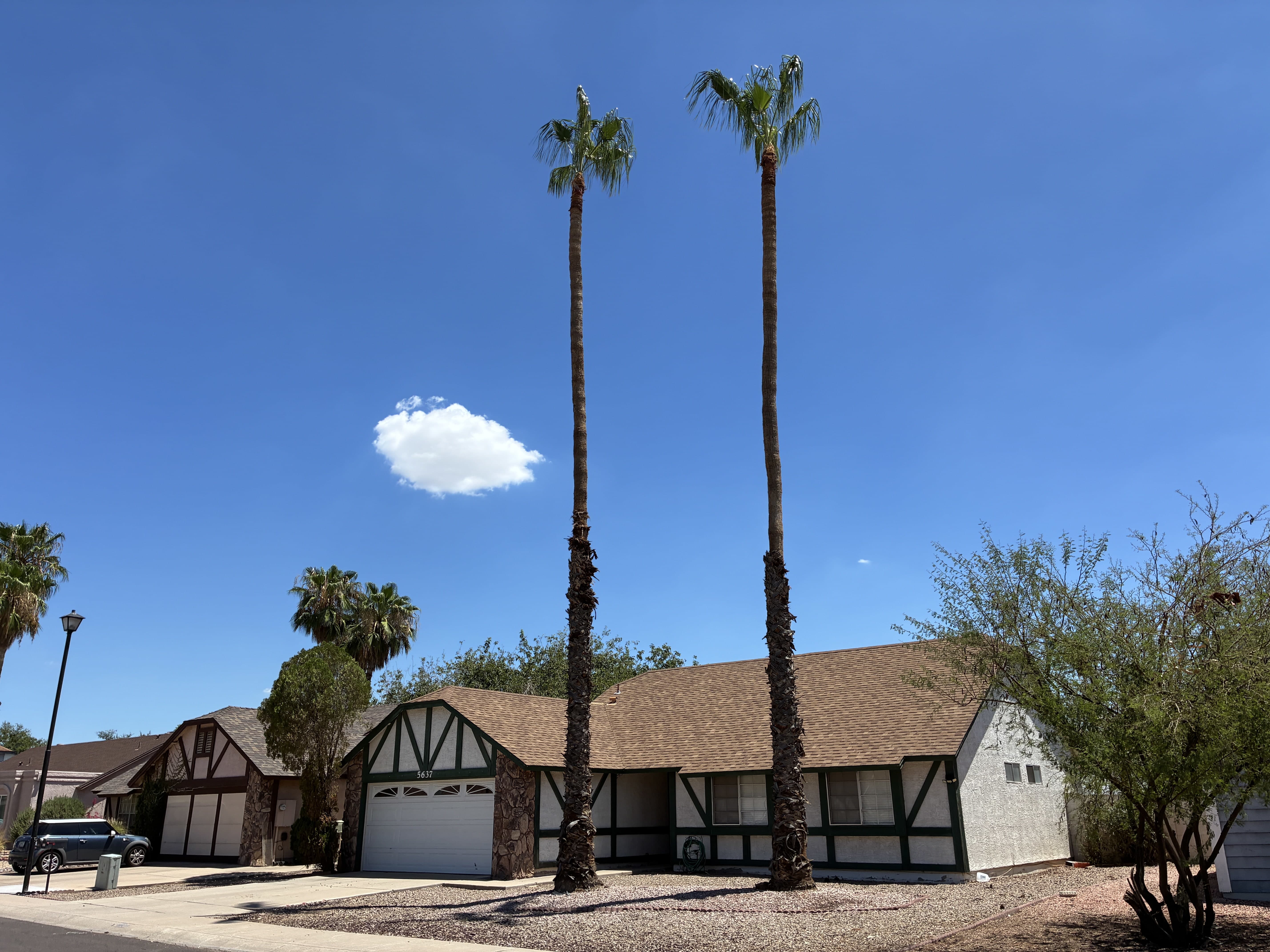 5637 W Yucca St – photo 2