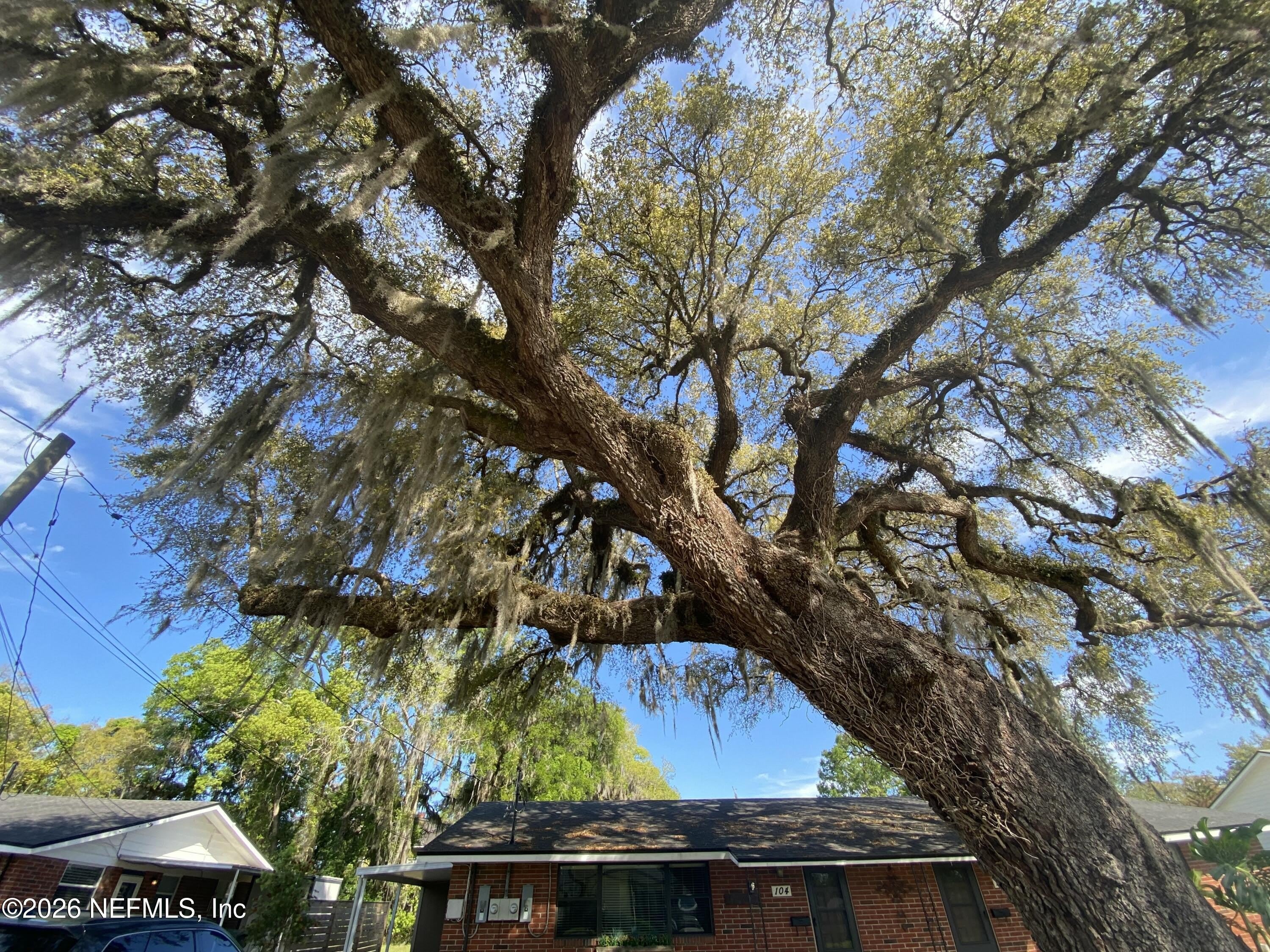 104 ST ELMO Road – photo 4