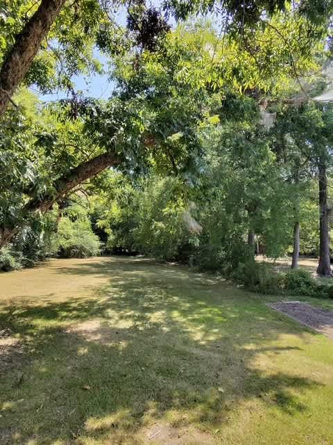 240 Dampeer Street – photo 5