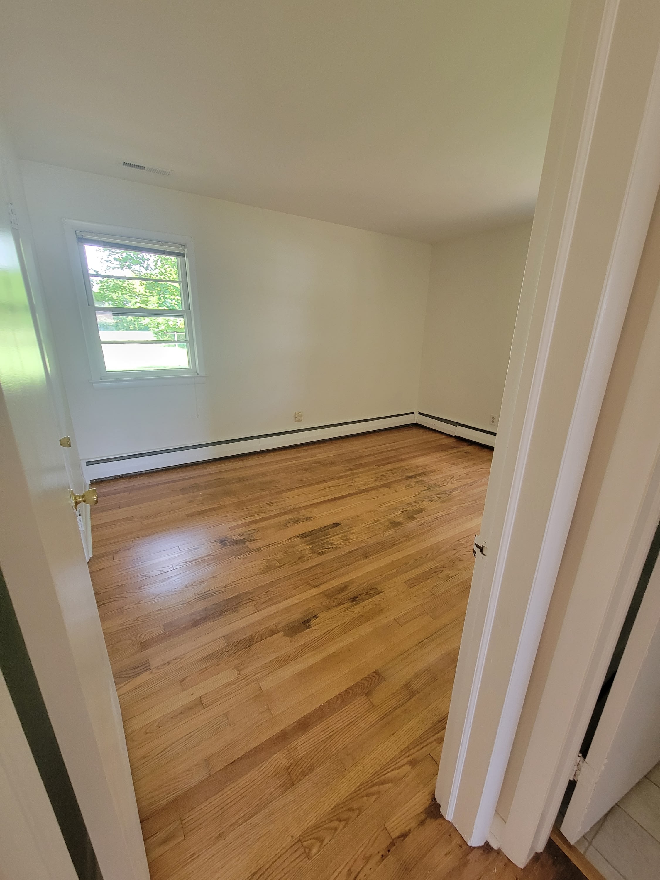 29426 Maple Avenue – photo 5