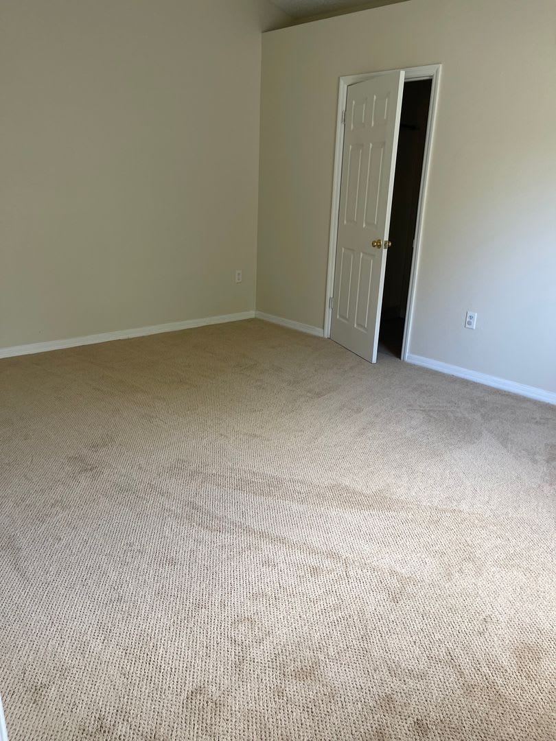 4 Bedroom, 2 Bathroom, 2 Car Garage Home. Move-in Ready – photo 4