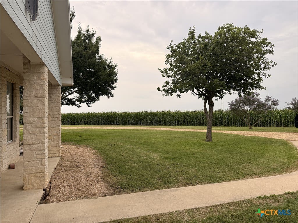 5600 Fm 1466 – photo 4