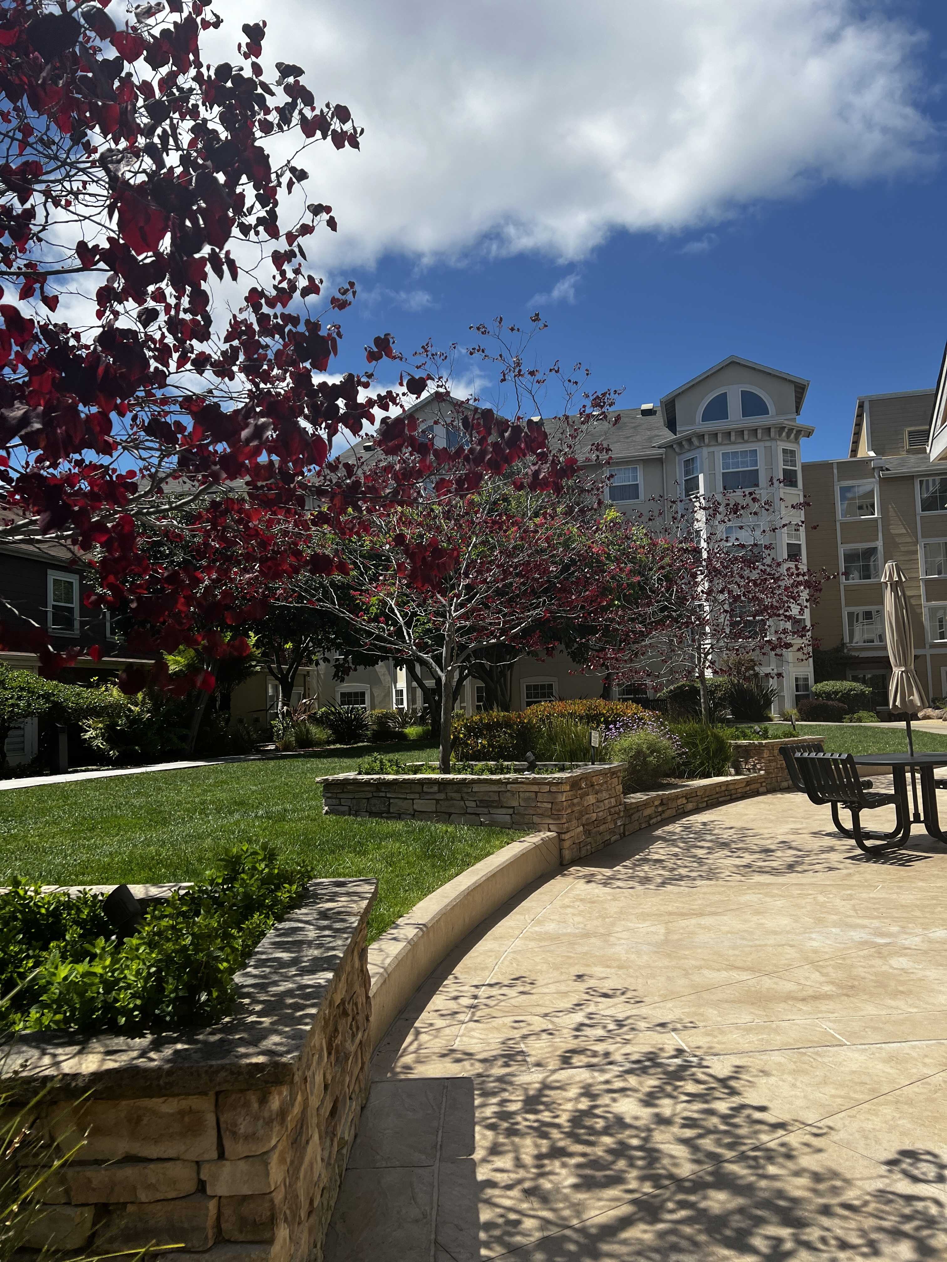 555 10th Street – photo 2