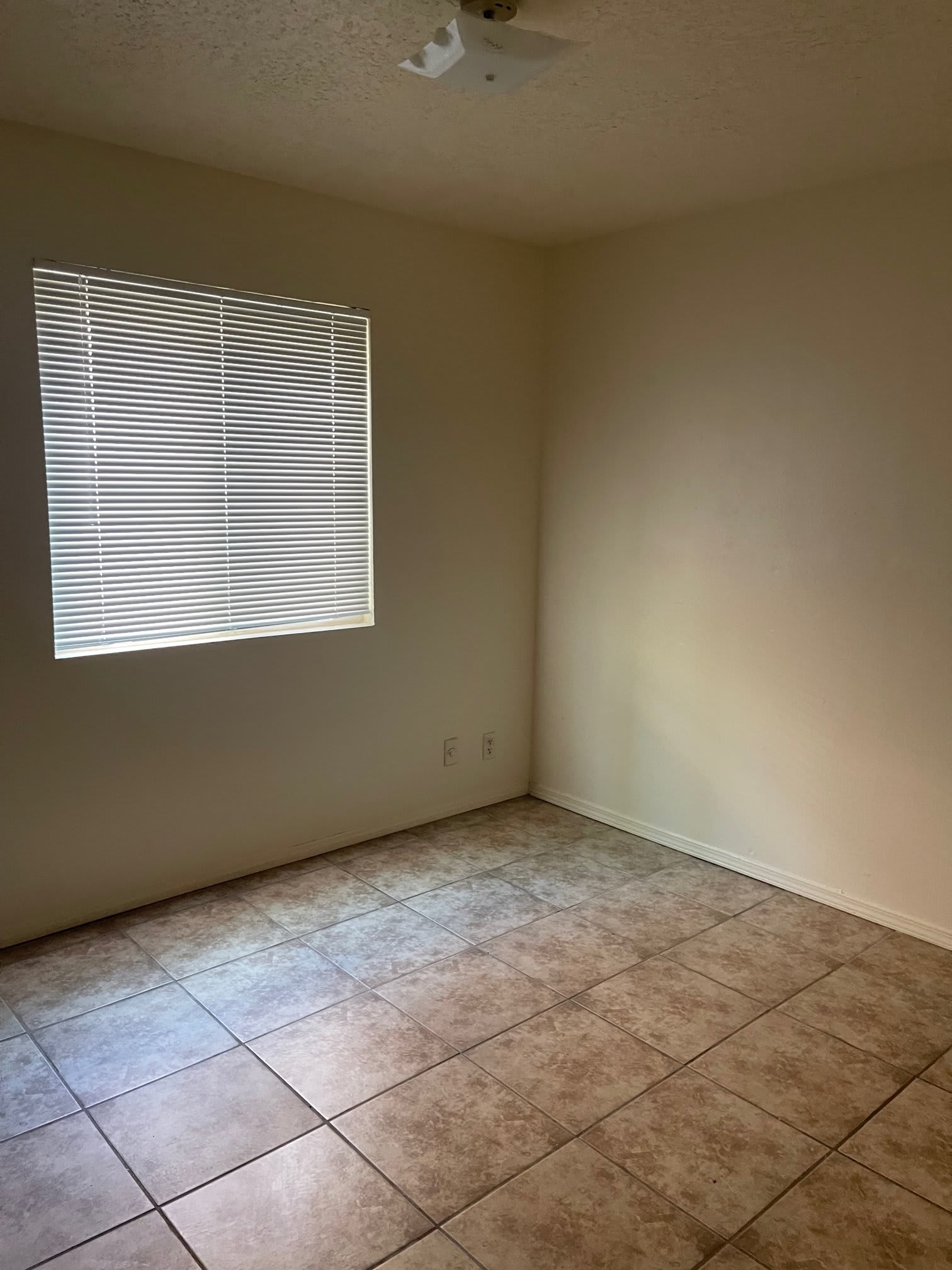 13401 Fruit Avenue Northeast – photo 5