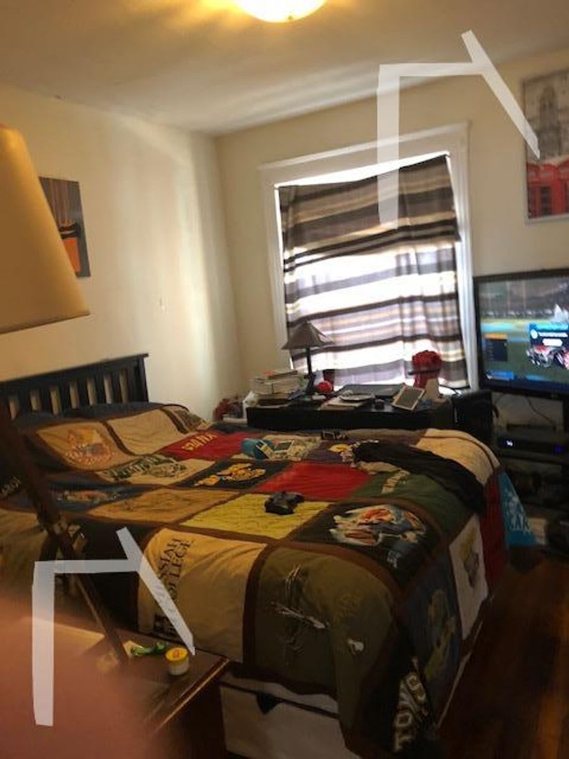 No Fee! Gorgeous Comm Ave Apt by T! Modern Appliances. Cat & Small Dog OK – photo 5