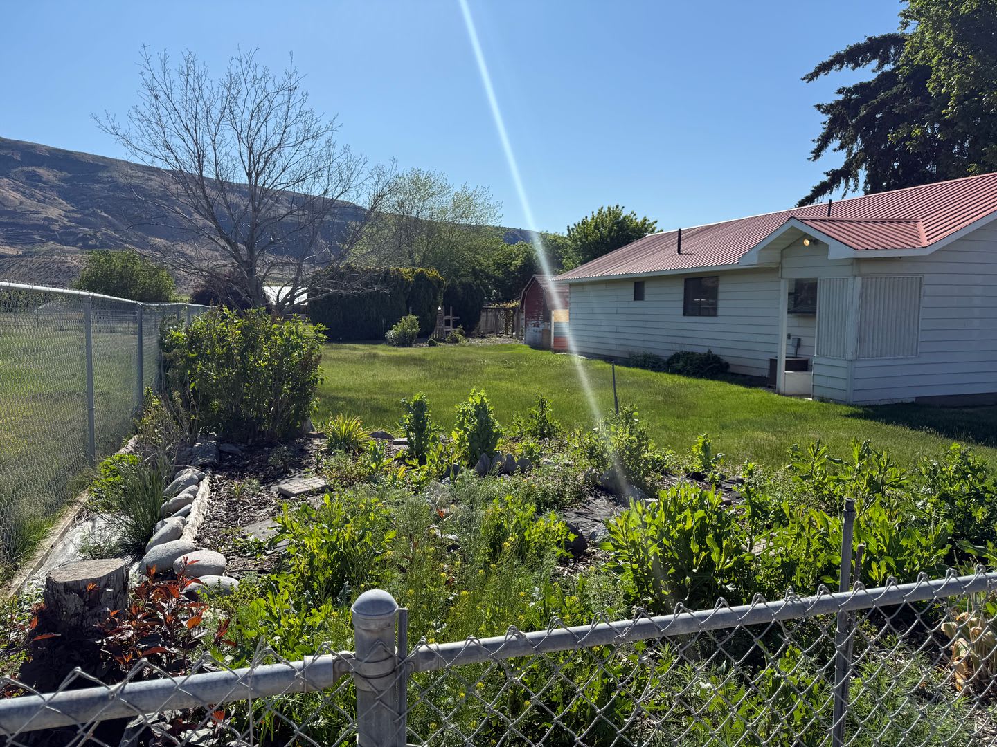 Adorable 1970's Farmhouse – photo 4