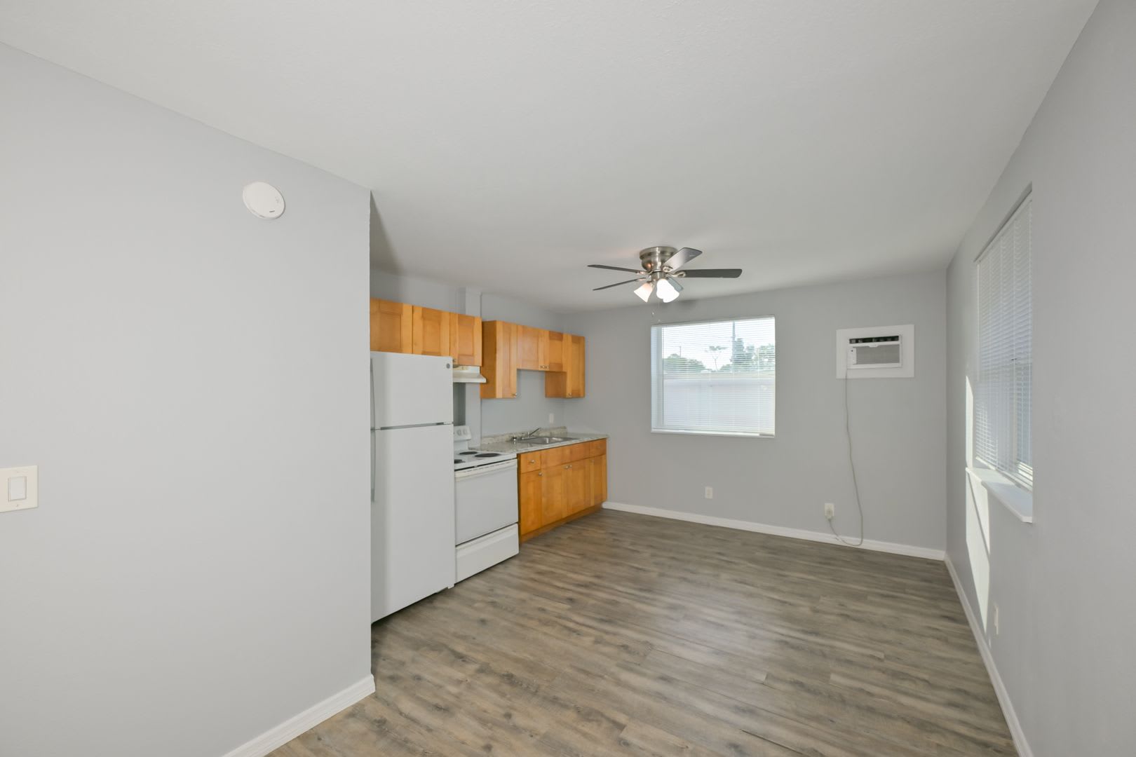 Pet Friendly Largo Studio Clean Modern Convenient Location – photo 5