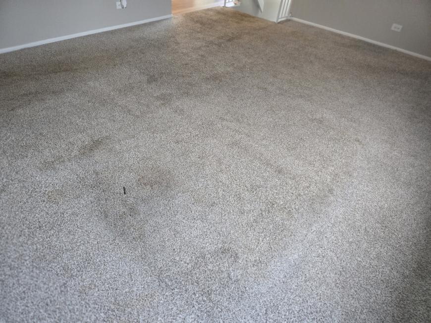 748 Manteca Ct. – photo 4