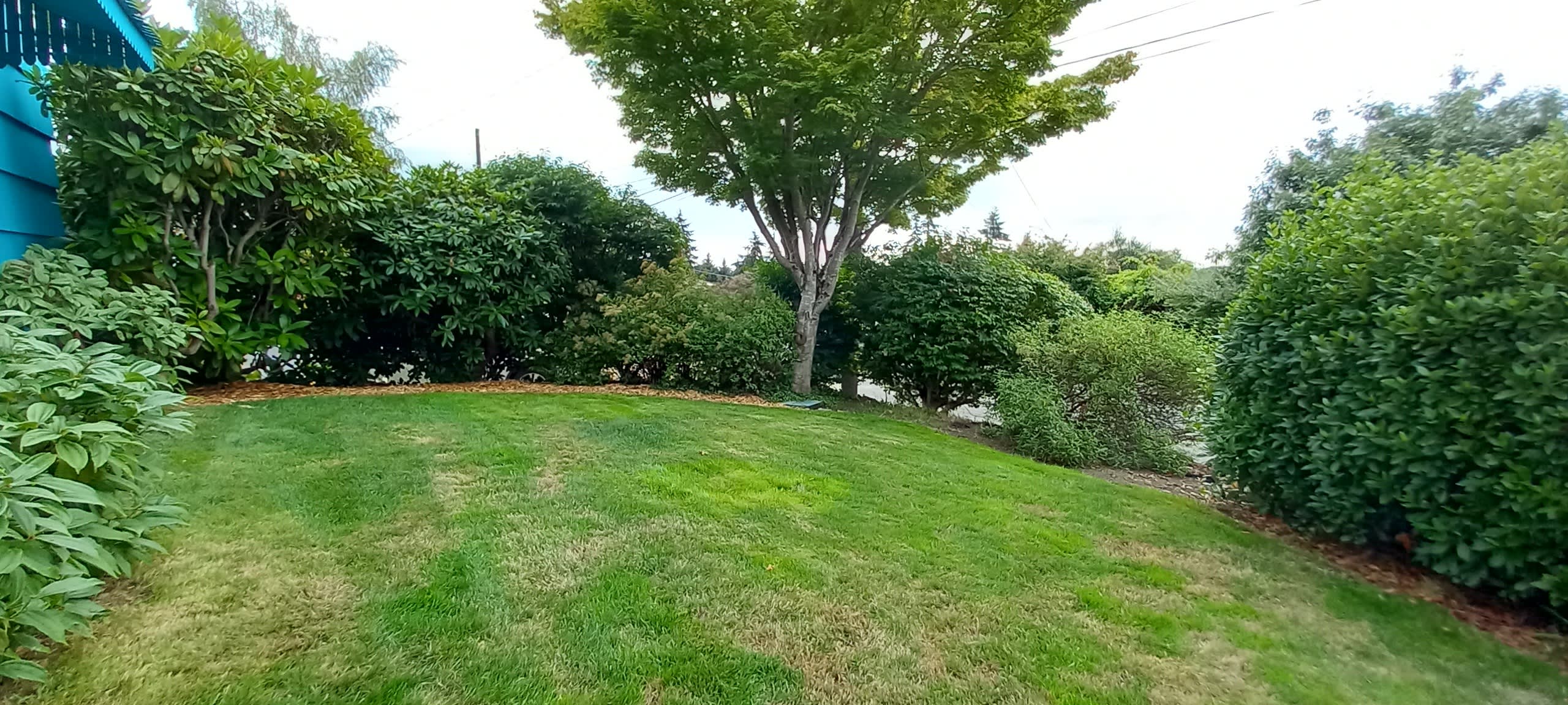 11532 4th Avenue Northwest – photo 4