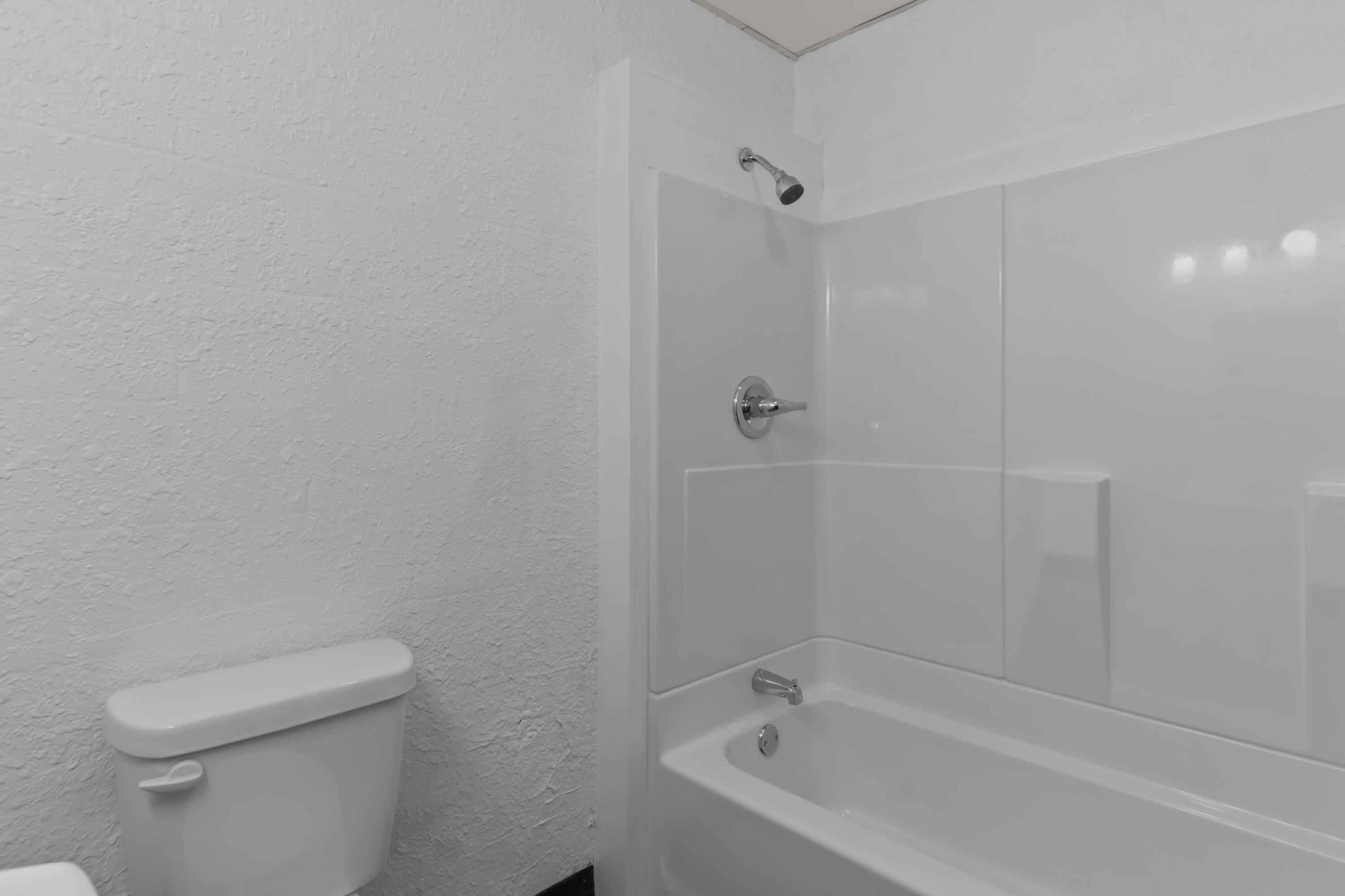 164 Forsyth Taneyville Road – photo 3
