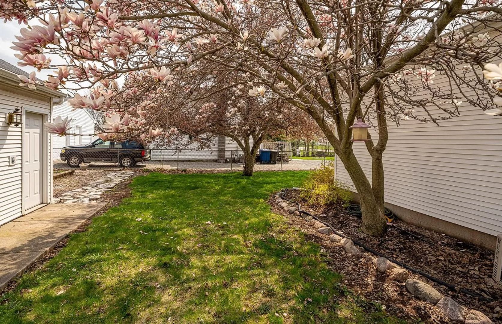 520 Dove Street – photo 2