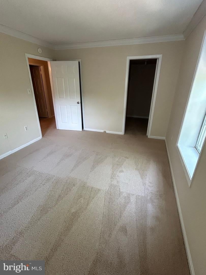 941 S ROLFE ST #1 – photo 5