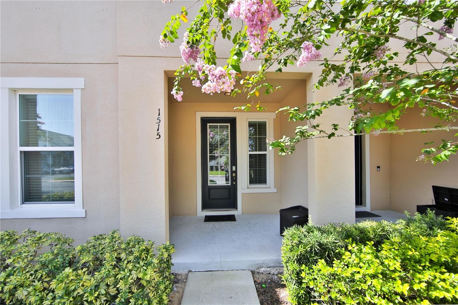 1515 CAREY PALM Circle – photo 2