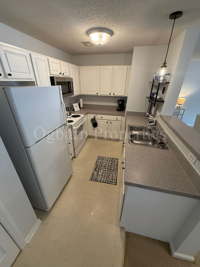 324 Scholastic Ct-FULLY FURNISHED, UTILITIES INCLUDED!-2BR/2BA-Deacon Ridge APT!! – photo 4