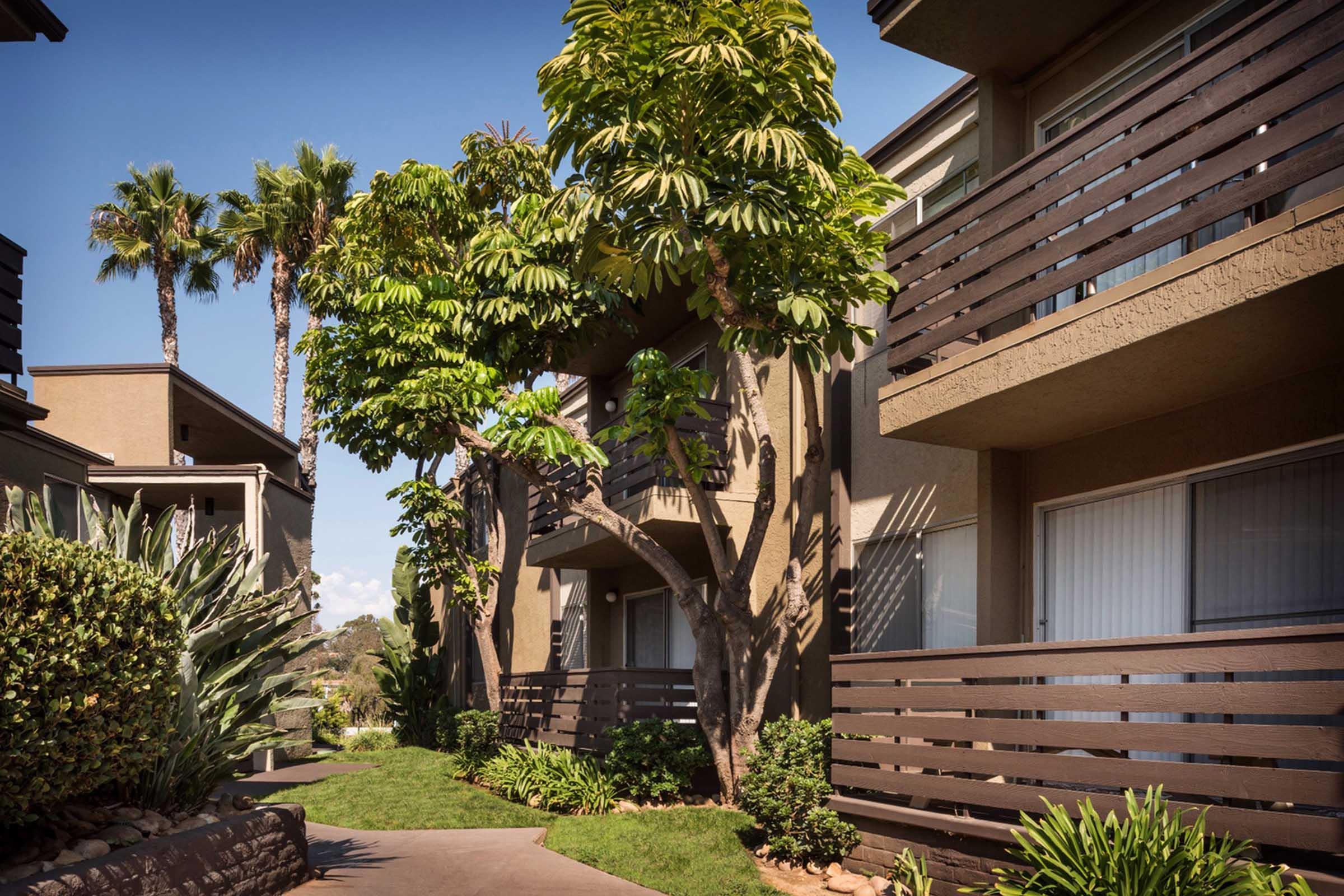 Elán Avante Apartment Homes – photo 5