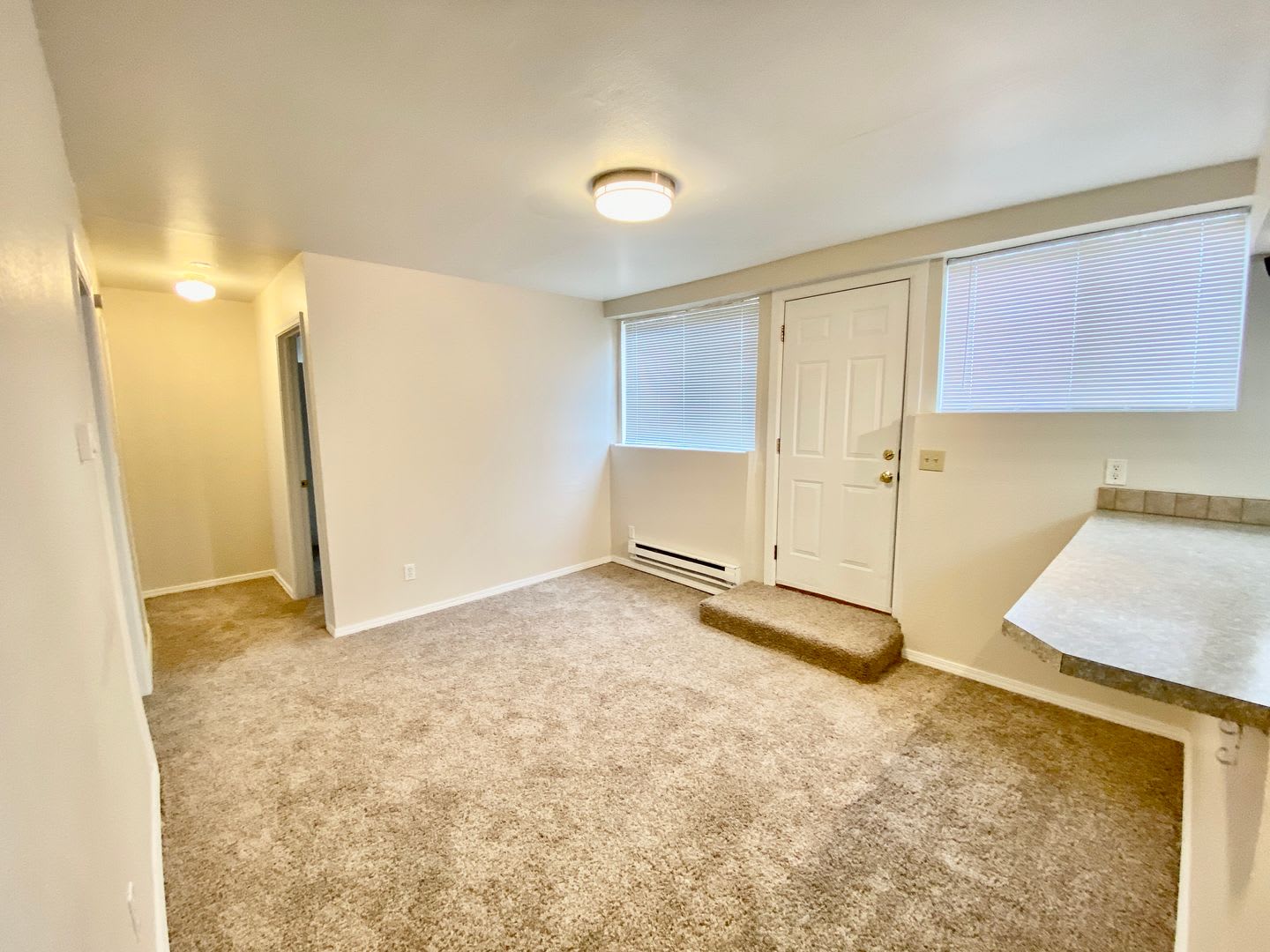 4Bd/1Ba Seattle Condo – photo 2
