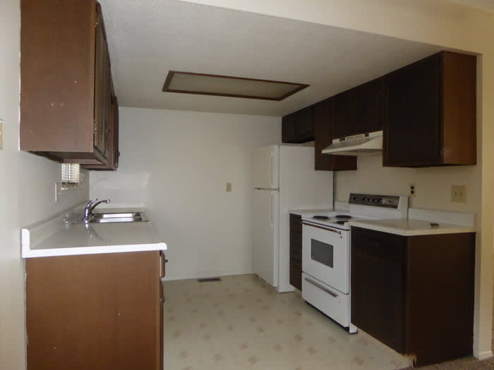 17 Glenn Ayre Street – photo 5