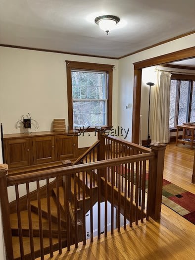 67 Trowbridge – photo 2