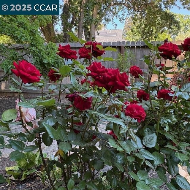 2150 Whyte Park Ave – photo 3