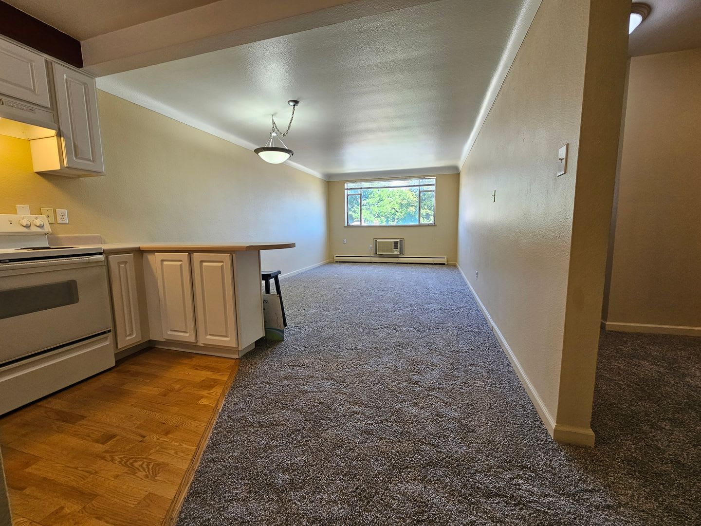DU 1 Bed 1 Bath Condo Steps Away From Everything DU!! Available Now – photo 3