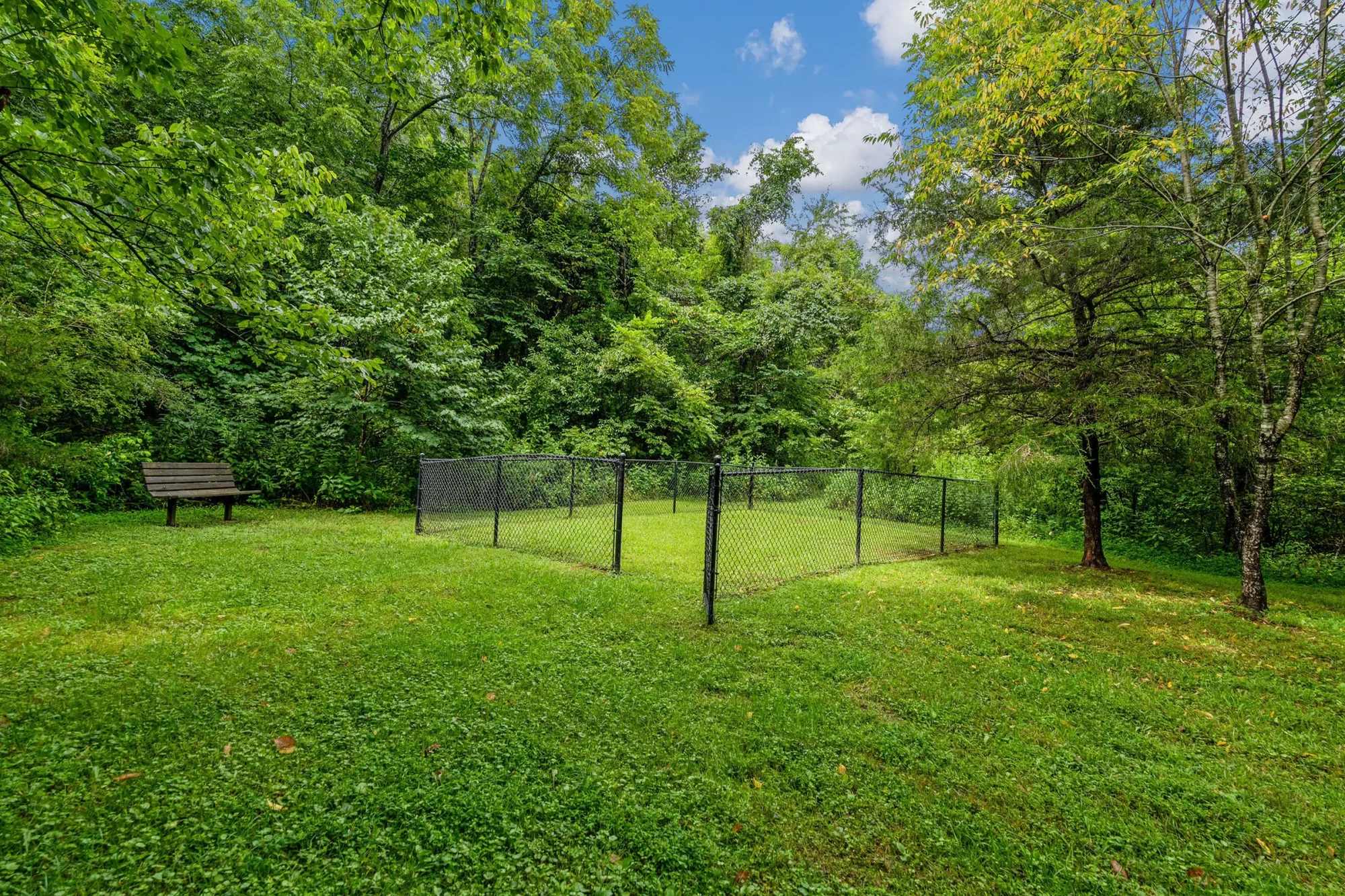 Brush Creek Meadows – photo 4