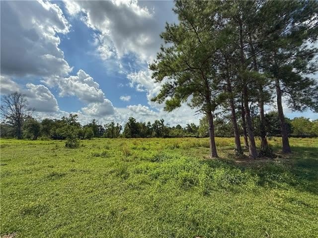 43058 HAPPYWOODS Road – photo 2