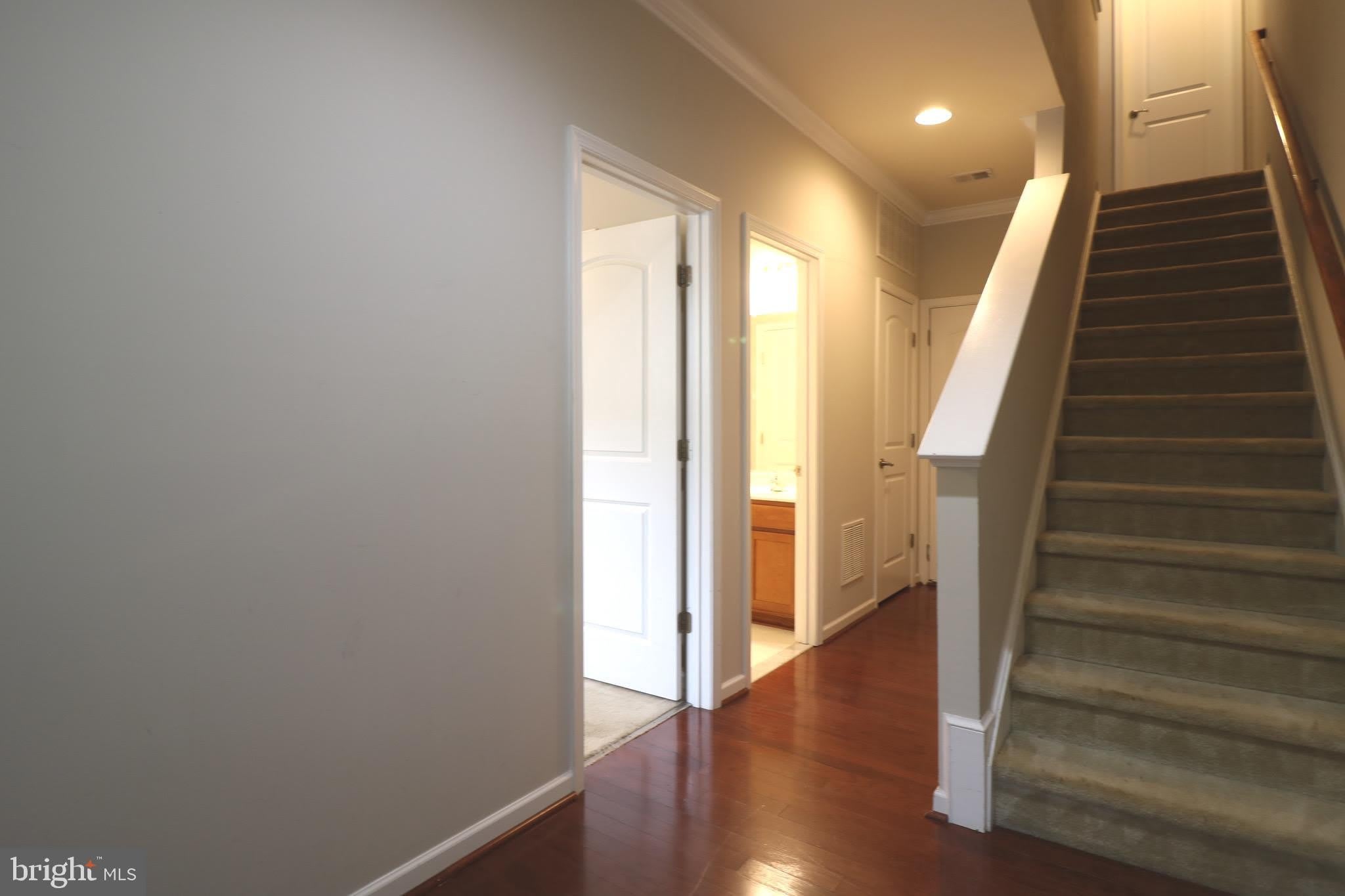 25585 Feltre Terrace – photo 2