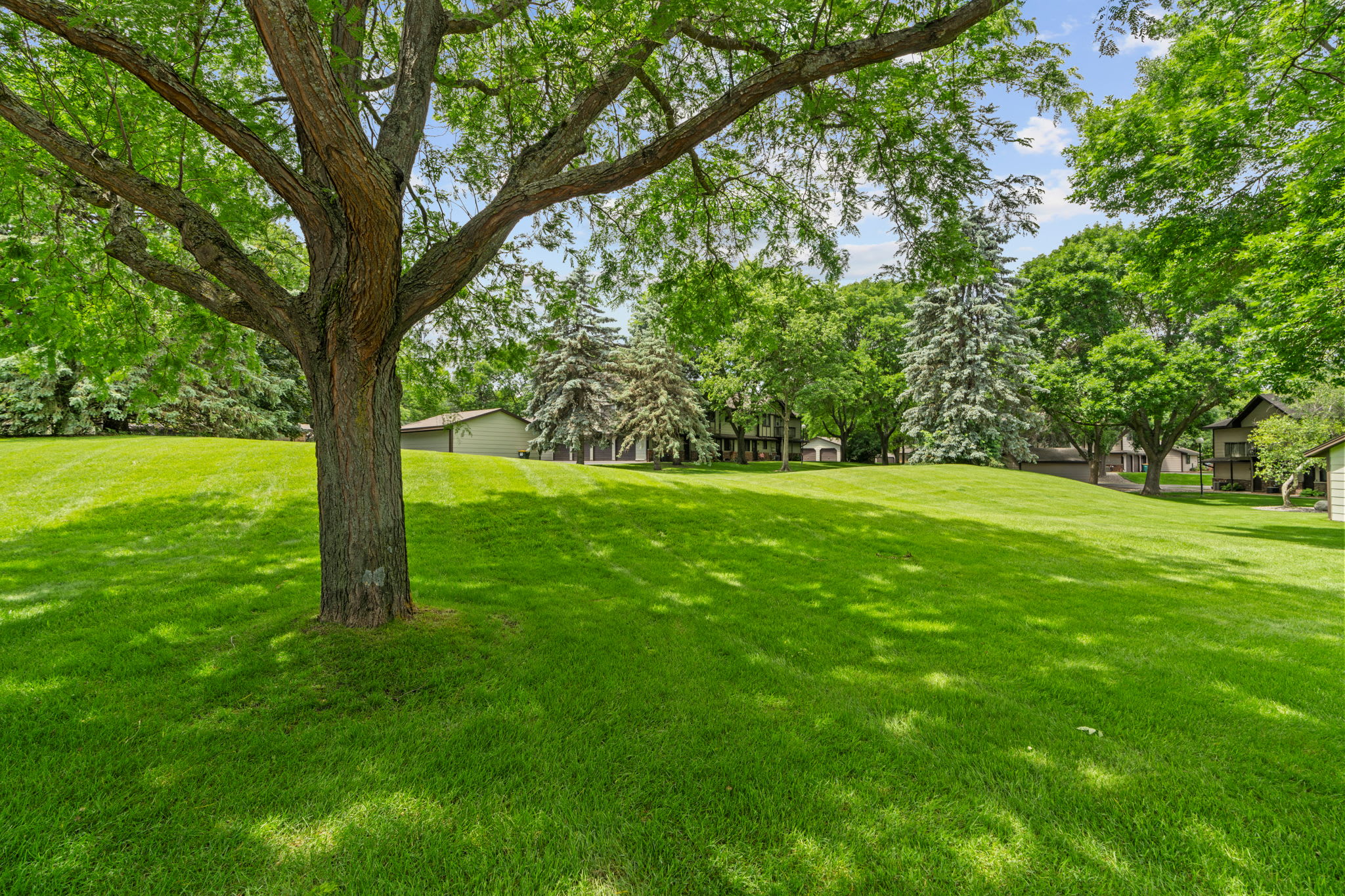 13359 Zenith Ln – photo 3
